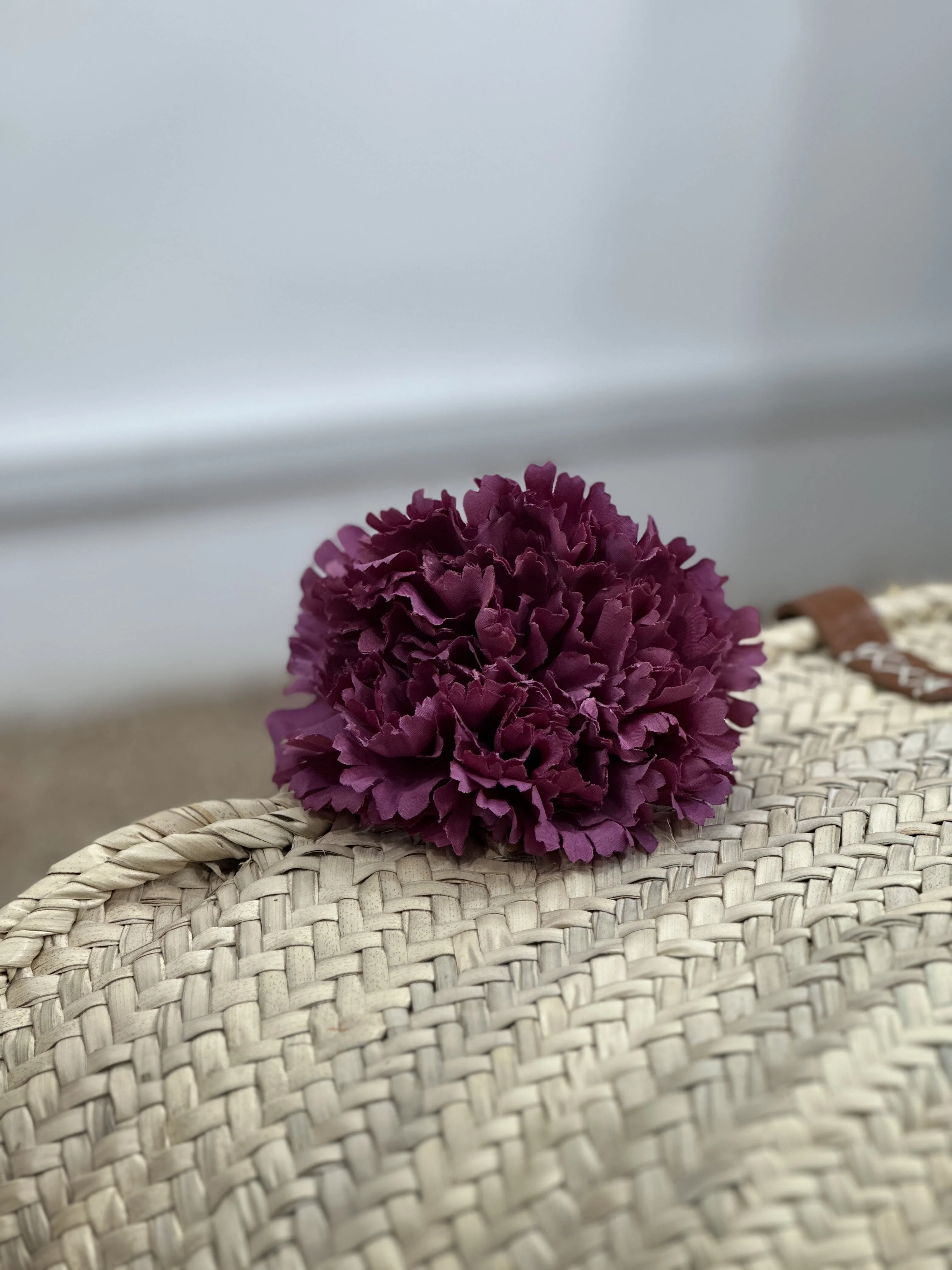 CLAVEL GRANDE FLAMENCA - Image 6