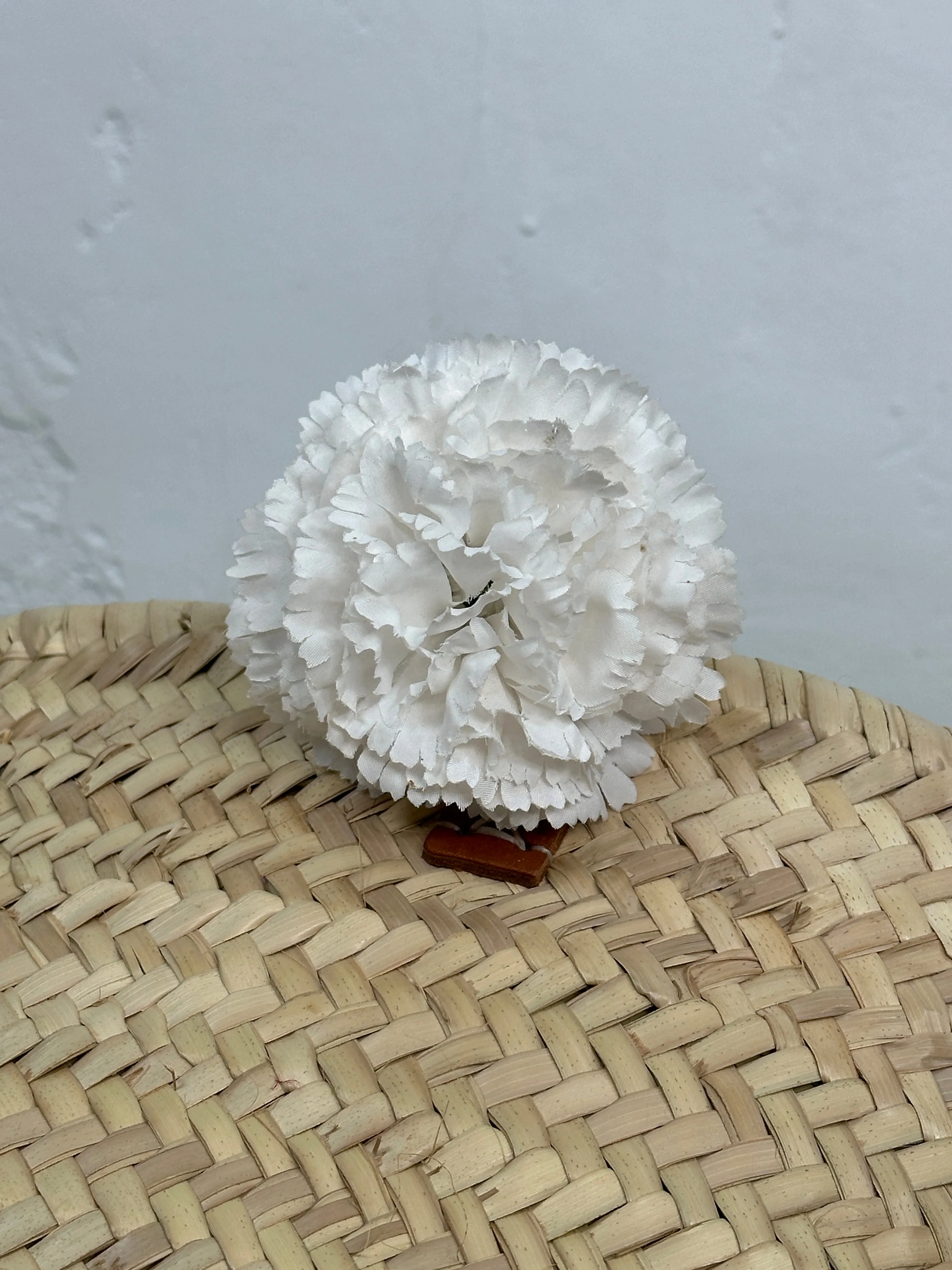 CLAVEL PEQUEÑO FLAMENCA - Image 6