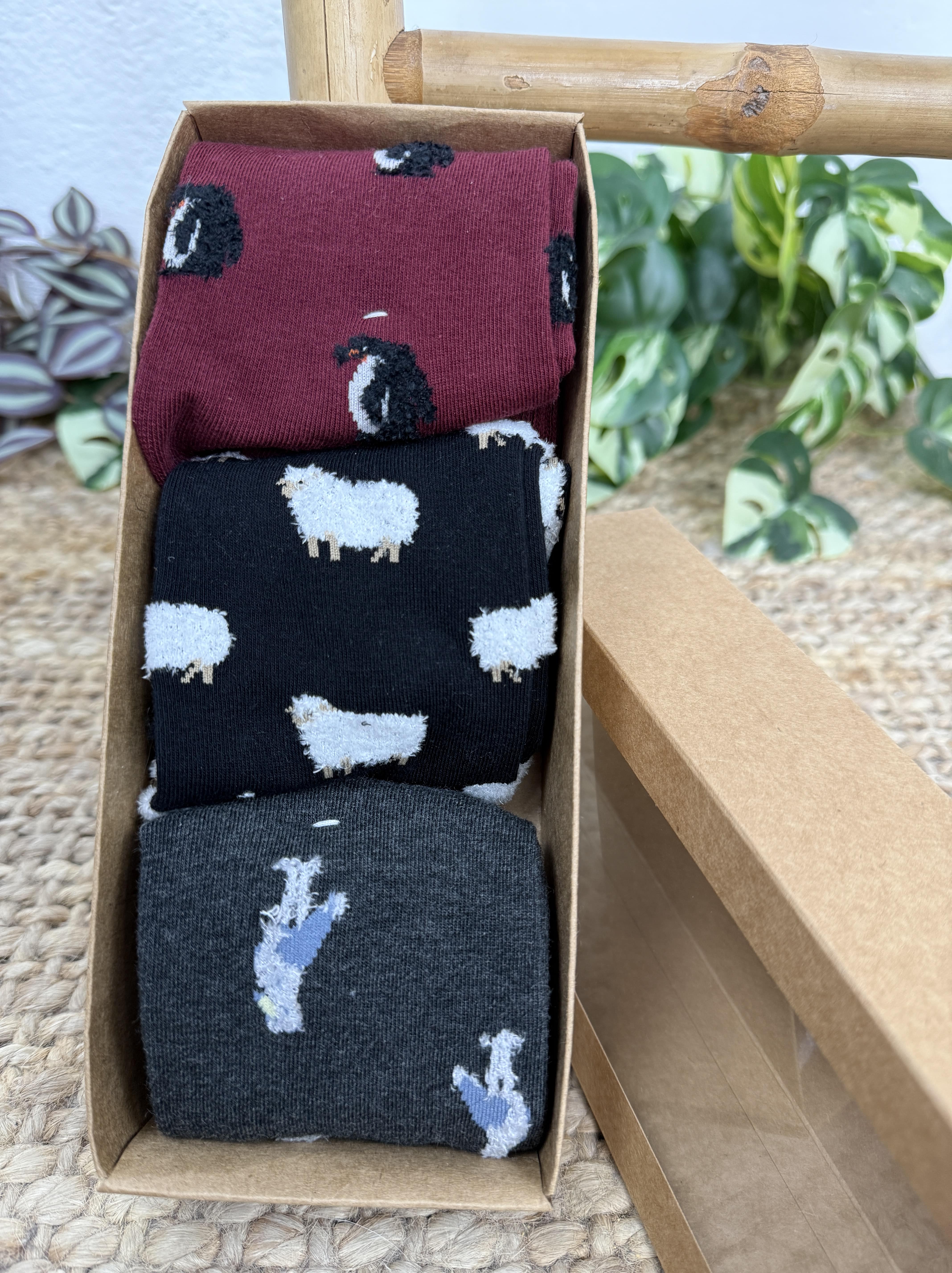 PACK 3 CALCETINES ANIMALES - Image 11
