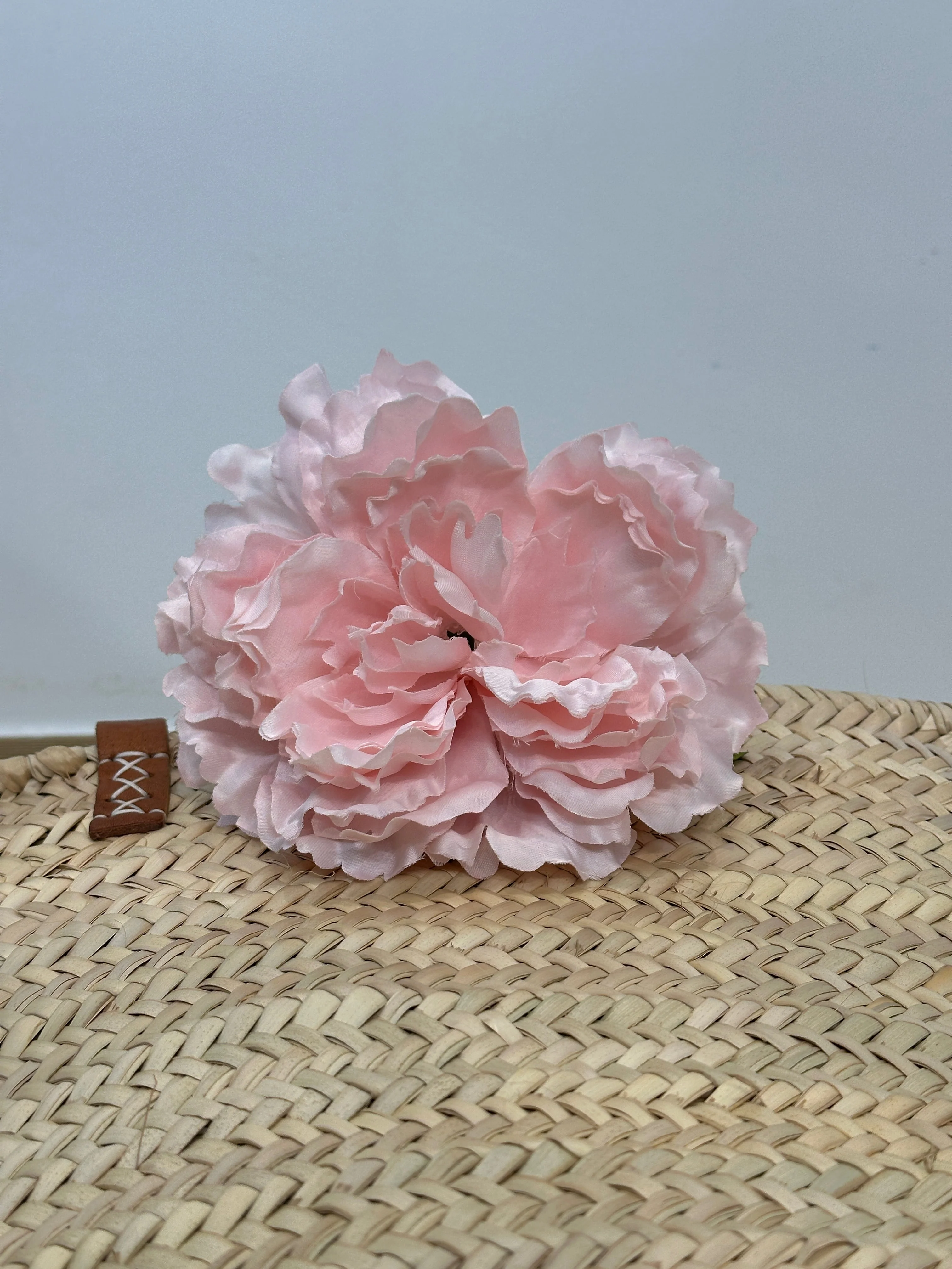 PEONÍA BERTA - Image 3