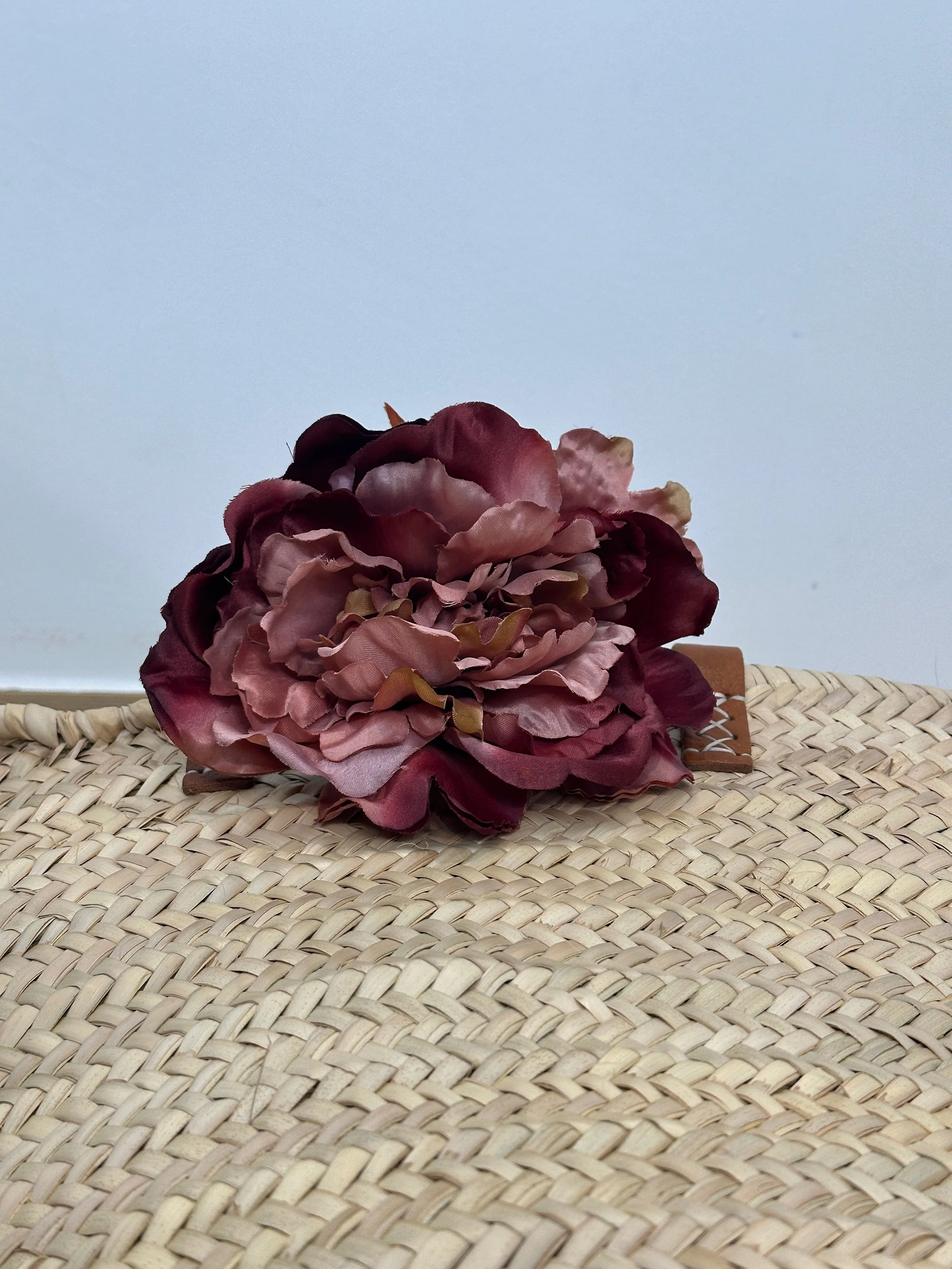 PEONÍA BERTA - Image 4