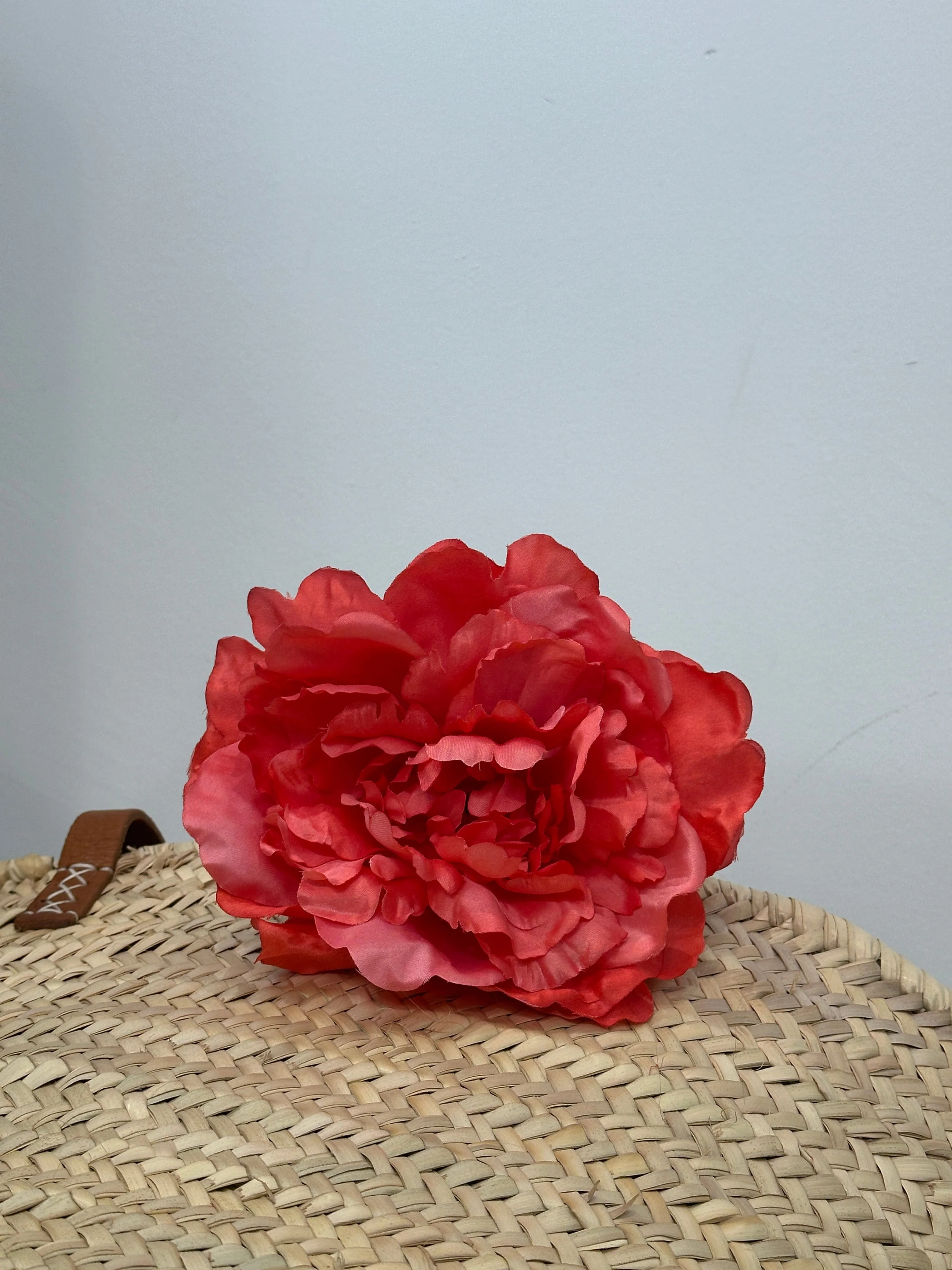 PEONIA AURORA FLAMENCA - Image 3