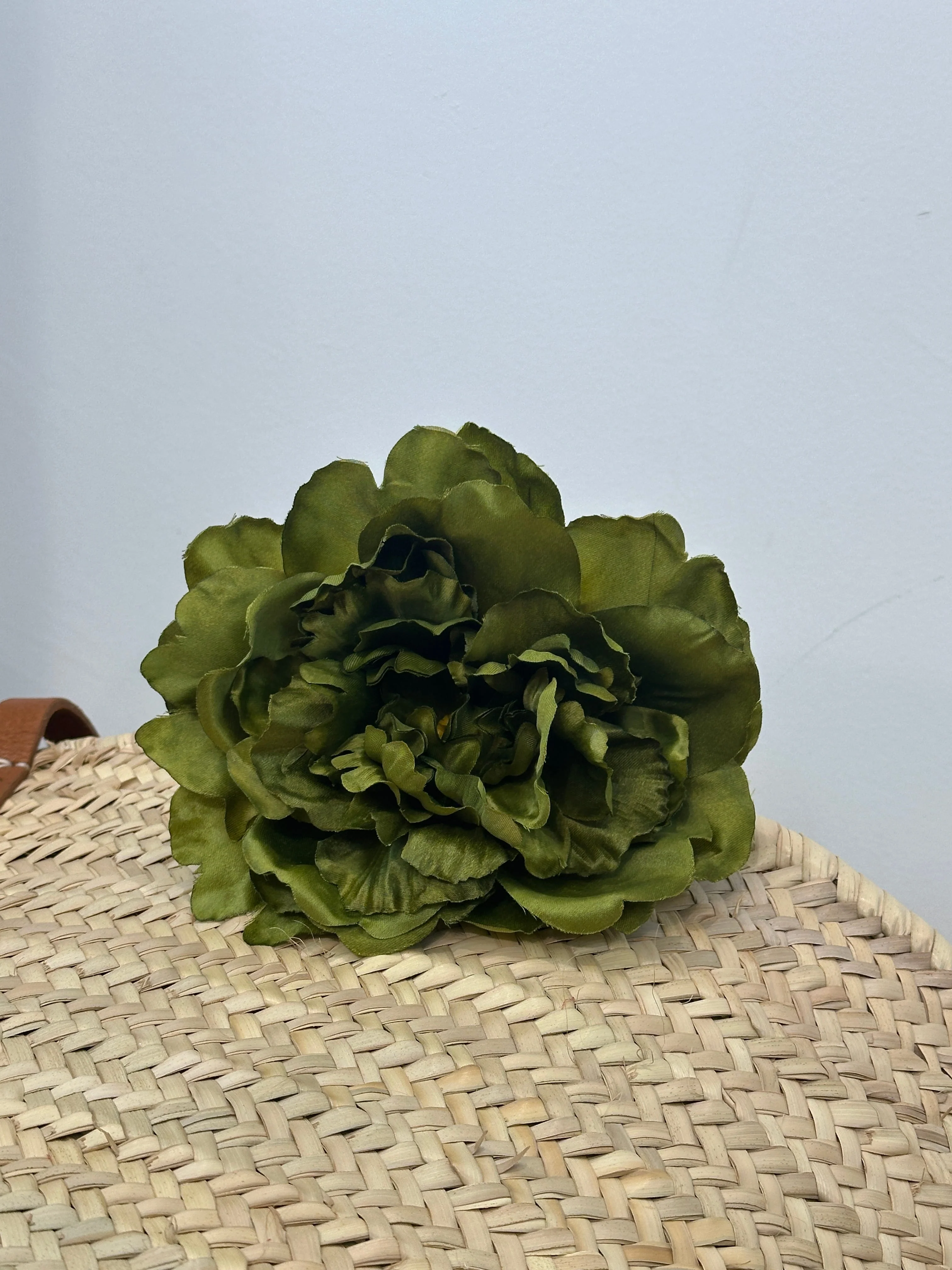 PEONIA AURORA FLAMENCA - Image 4