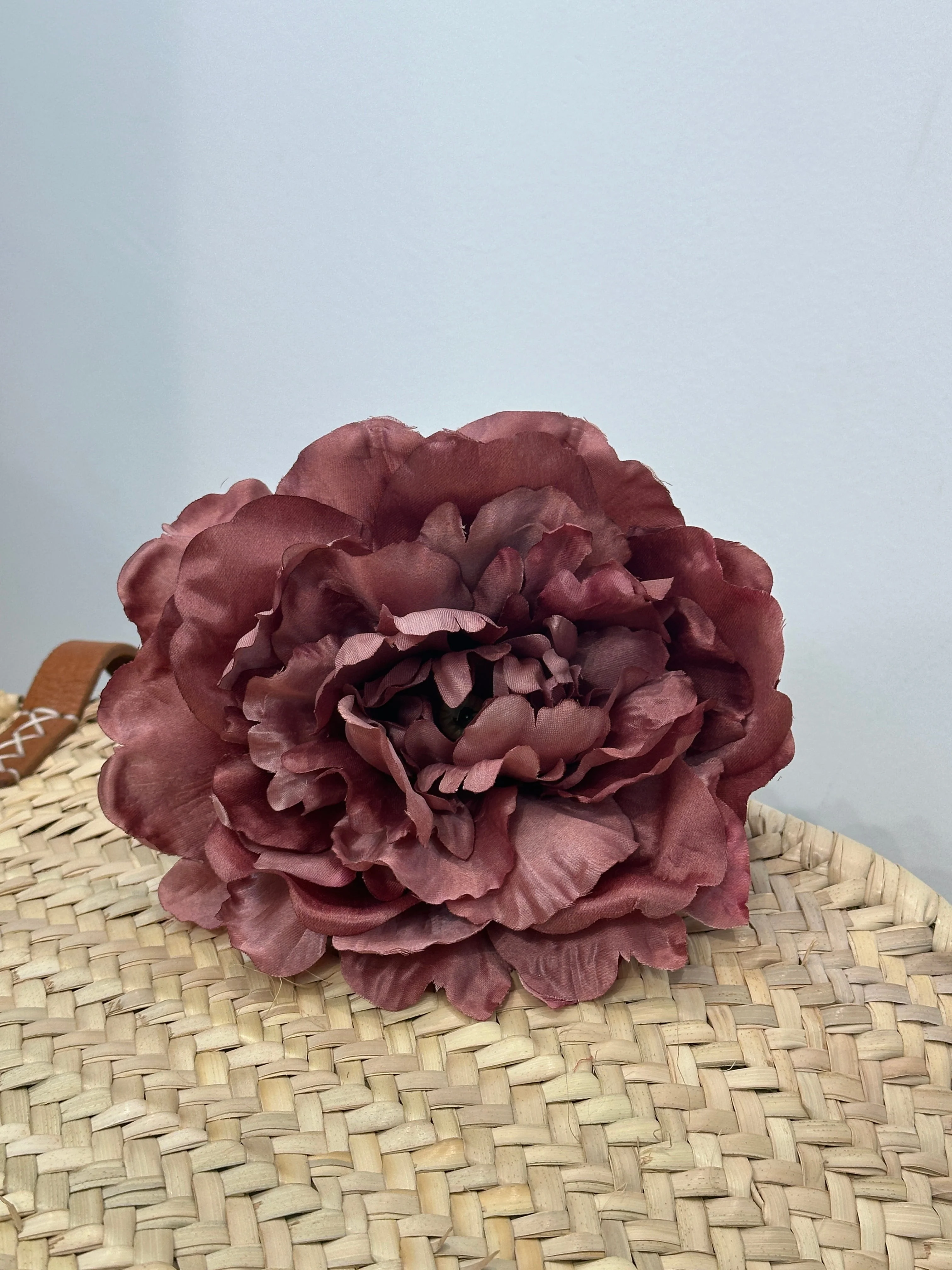 PEONIA AURORA FLAMENCA - Image 5