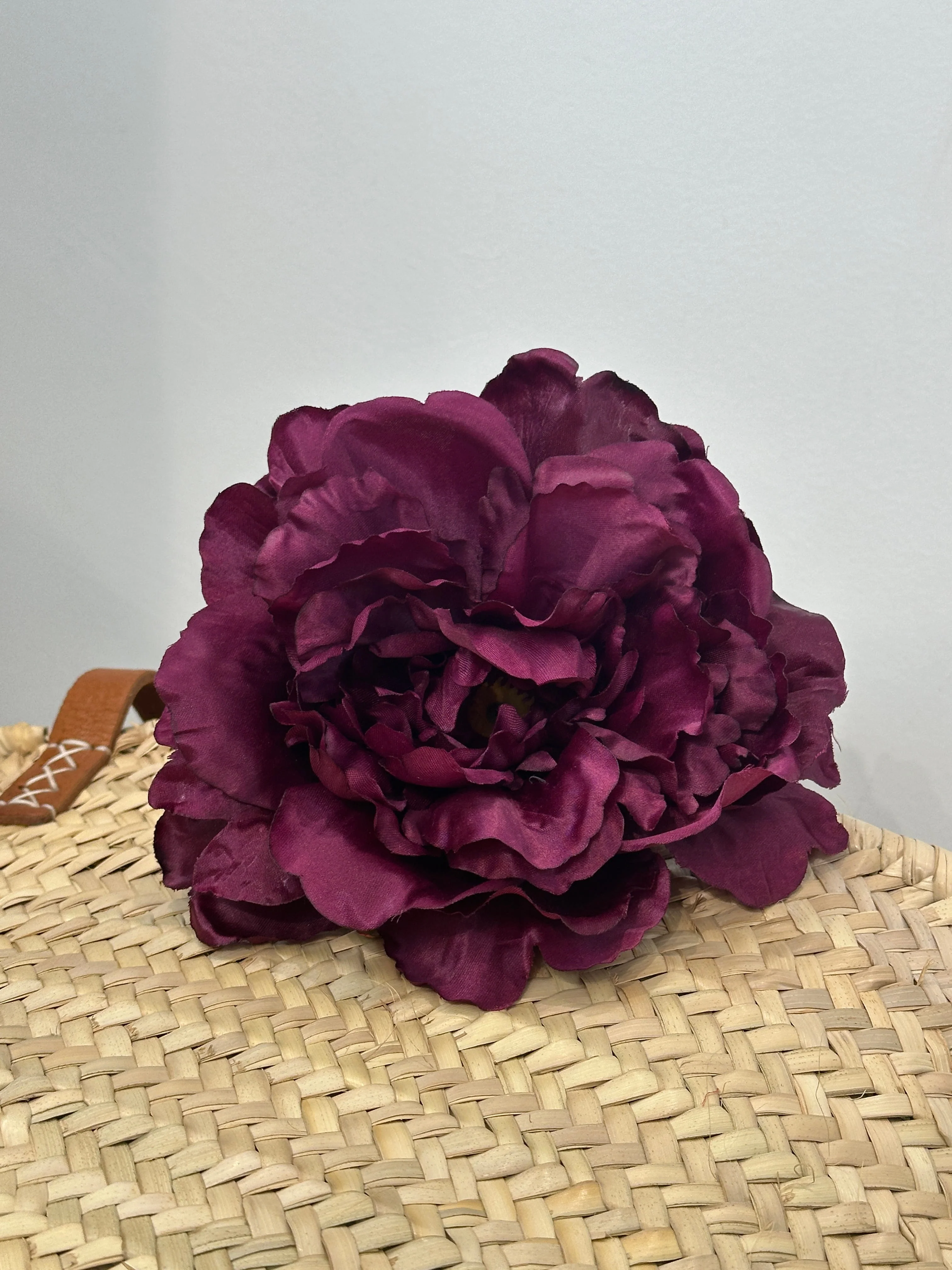 PEONIA AURORA FLAMENCA - Image 6