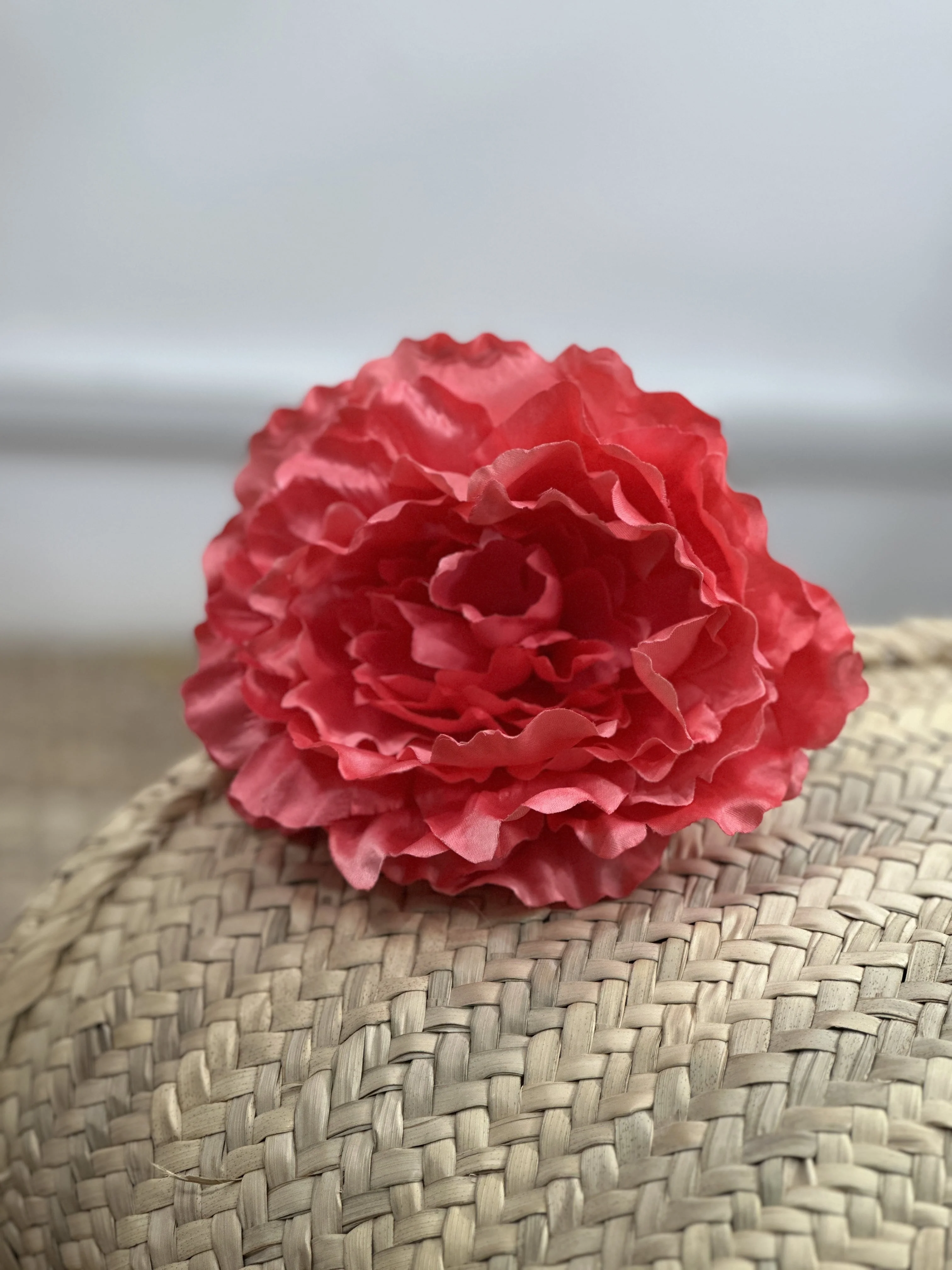 PEONÍA MEDIANA FLAMENCA - Image 8