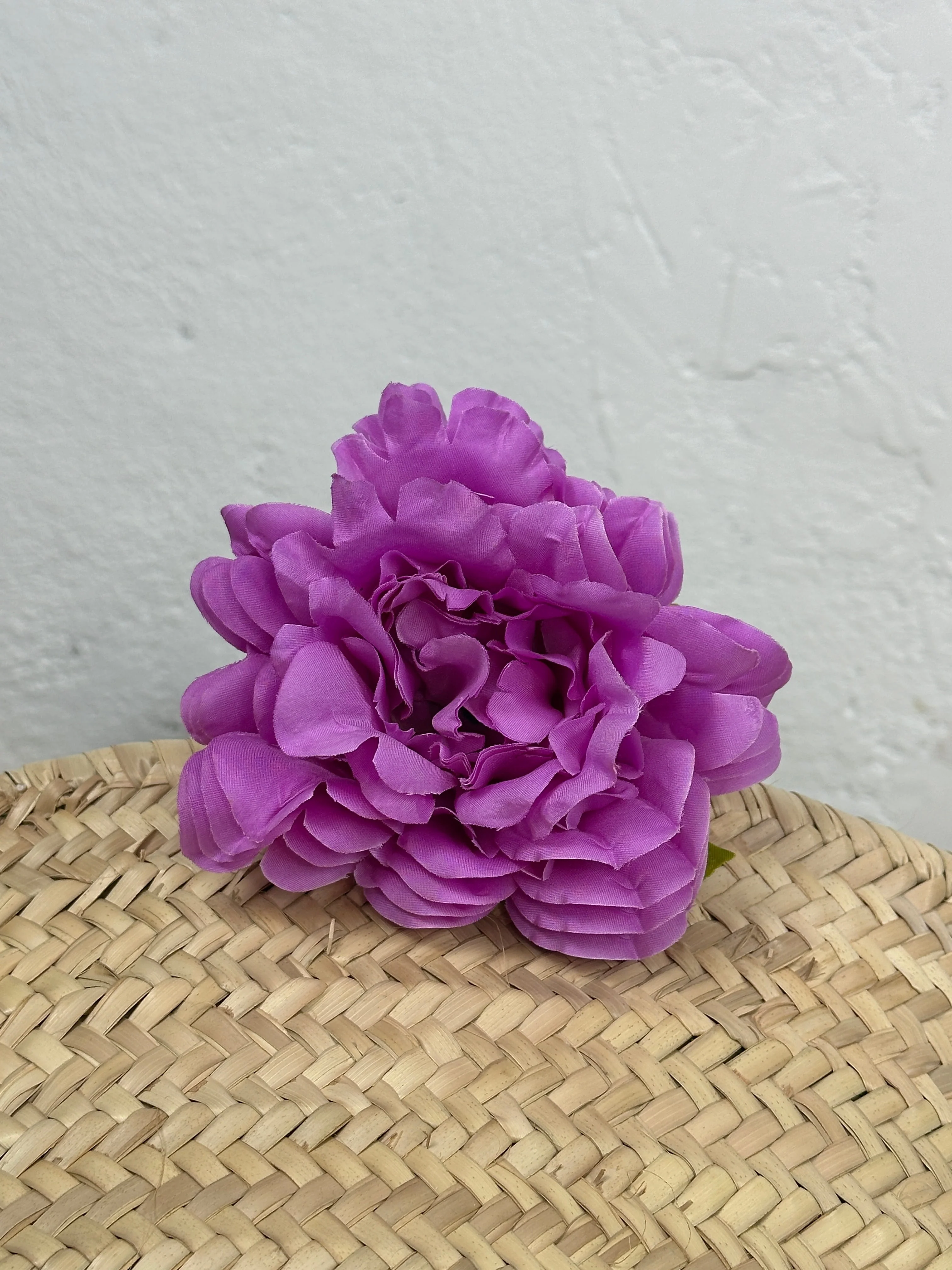 PEONÍA MEDIANA FLAMENCA - Image 9