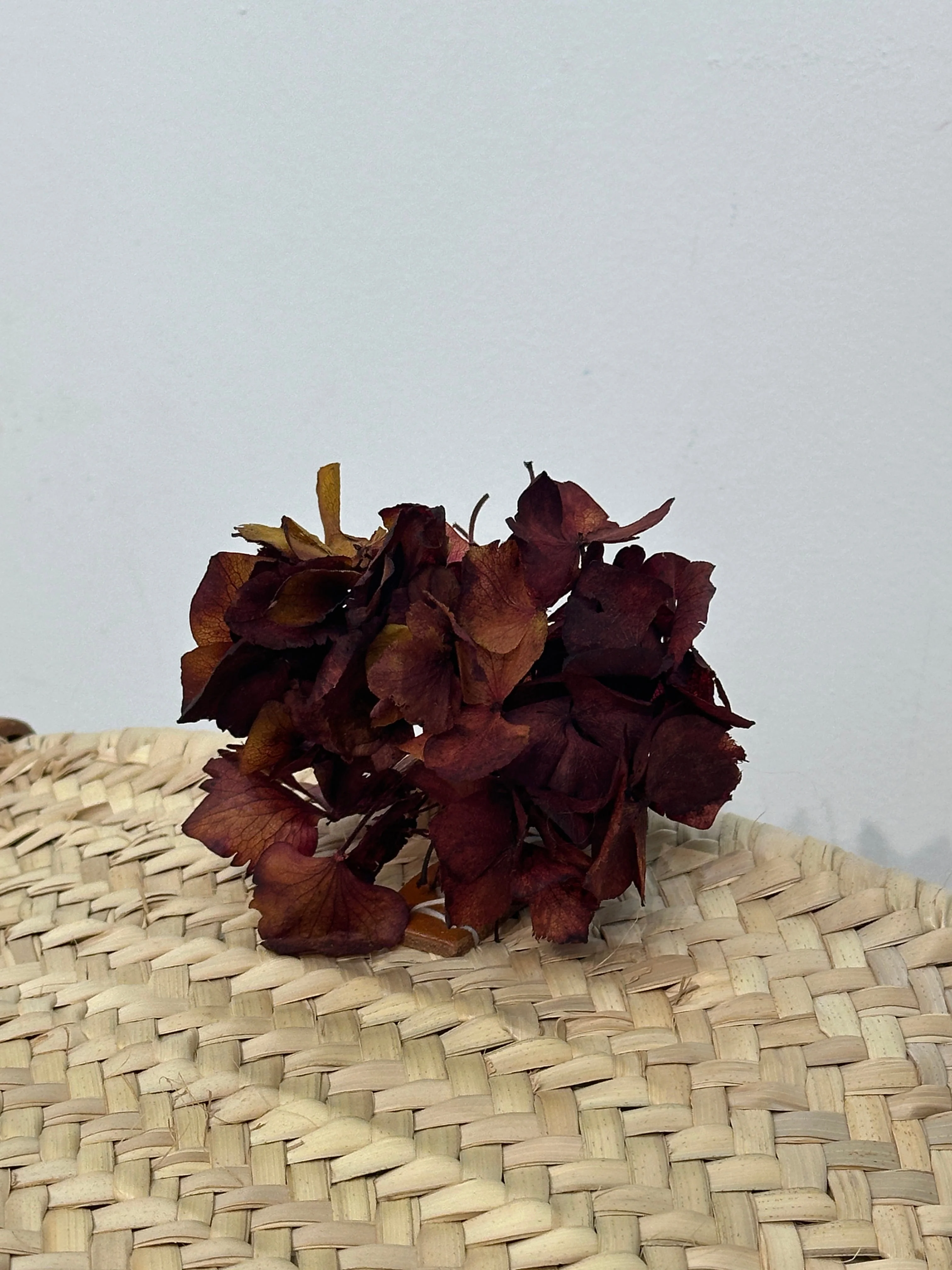RAMILLETE HORTENSIAS PRESERVADAS - Image 5