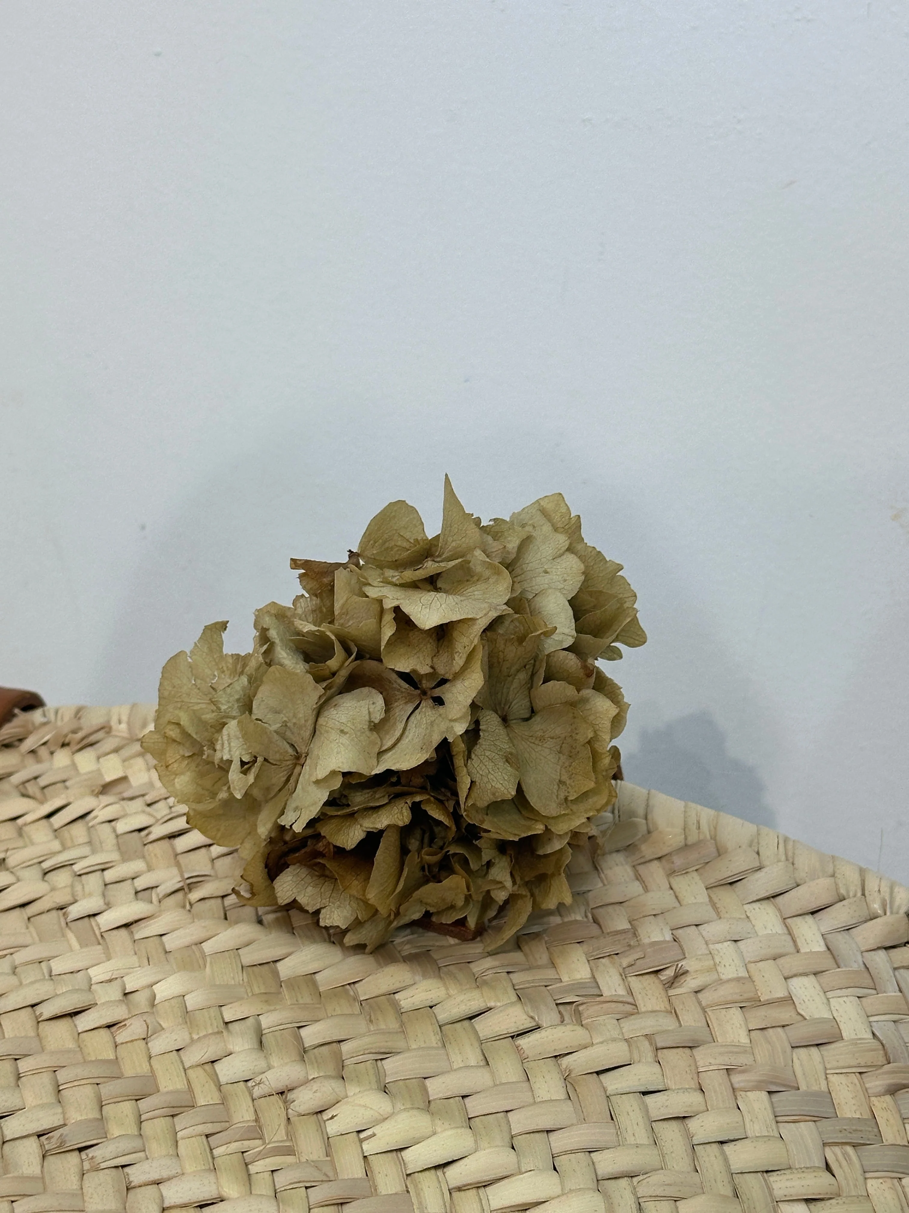 RAMILLETE HORTENSIAS PRESERVADAS - Image 6