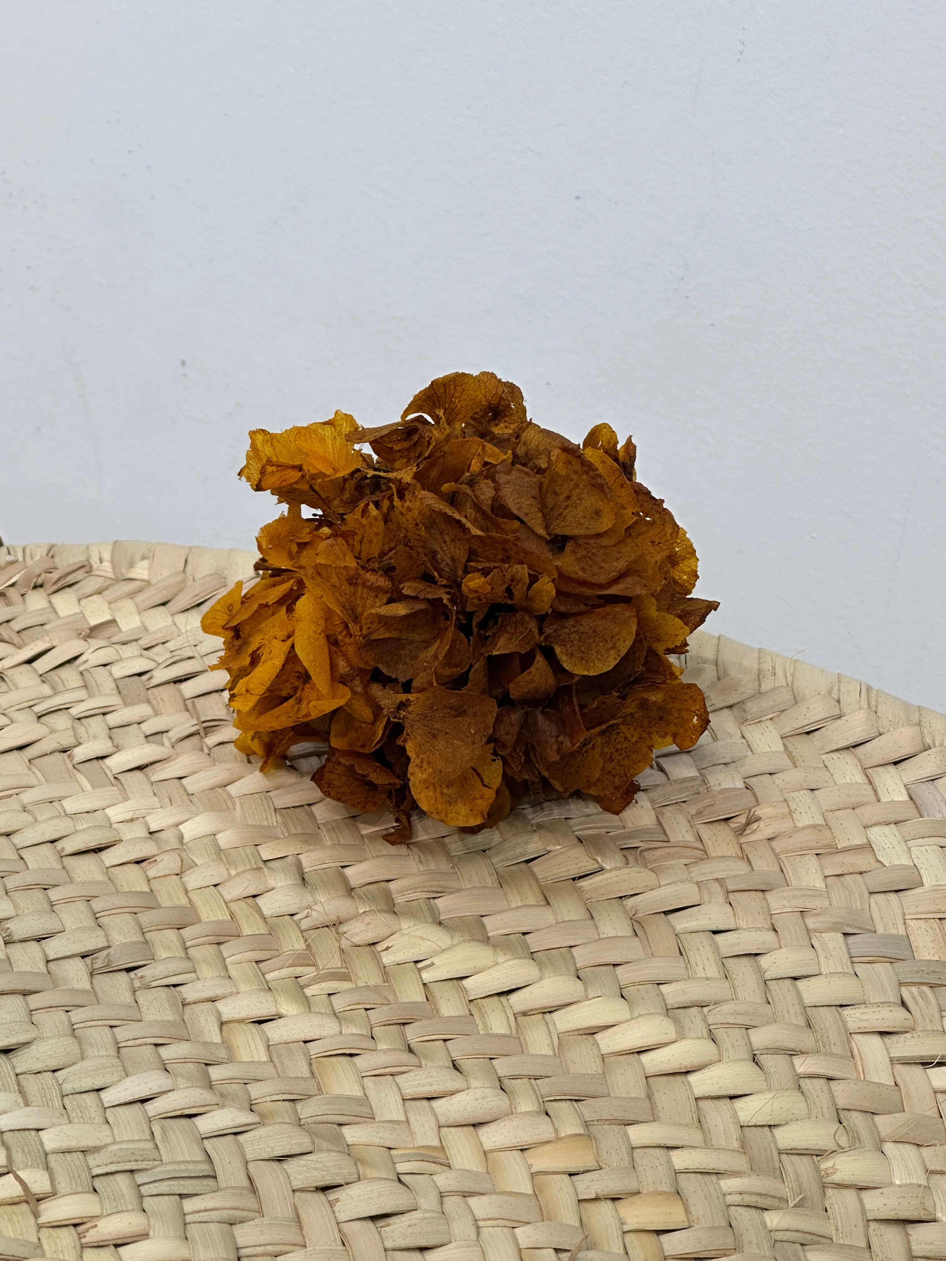 RAMILLETE HORTENSIAS PRESERVADAS - Image 7