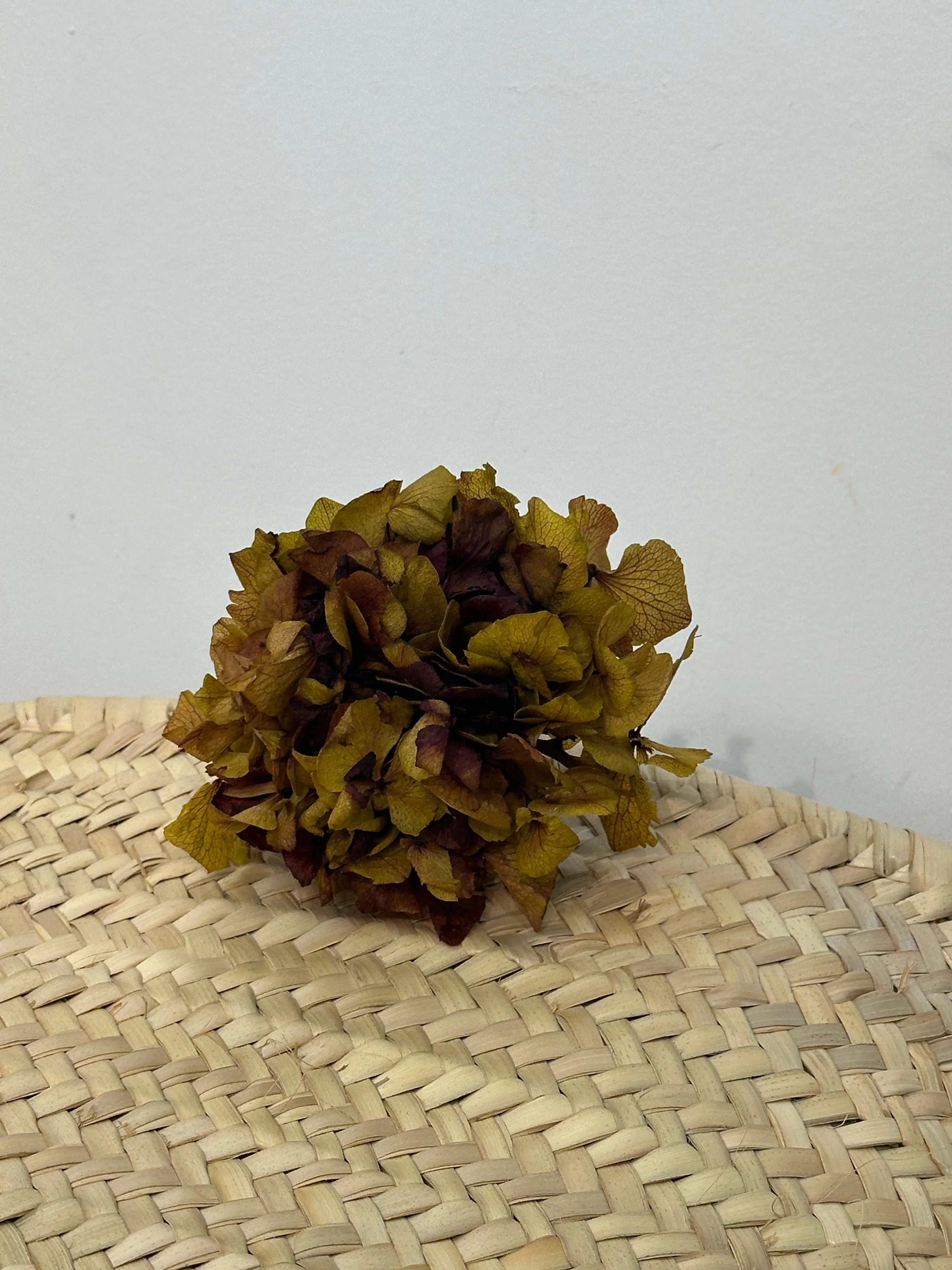 RAMILLETE HORTENSIAS PRESERVADAS - Image 8